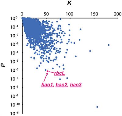 Corrigendum: <mark class="highlighted">Nitrosomonas europaea</mark> MazF Specifically Recognises the UGG Motif and Promotes Selective RNA Degradation